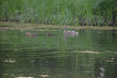 Similar image 21653544