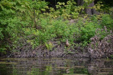 Similar image 21658778