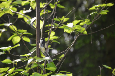 Similar image 21653549