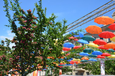 Similar image 21653550