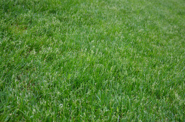 Similar image 21653551