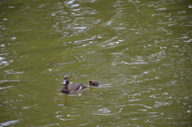 Similar image 21653553