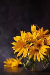 Similar image 21649418