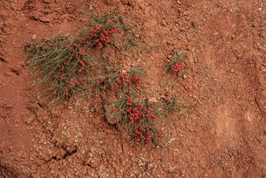 Similar image 21656519