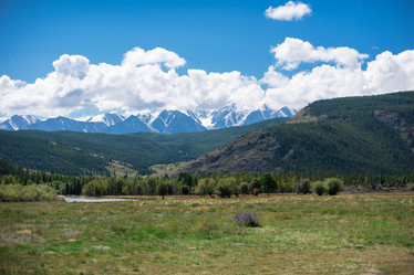 Similar image 21656524