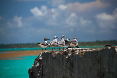 Similar image 21655715