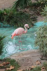 Similar image 21658737