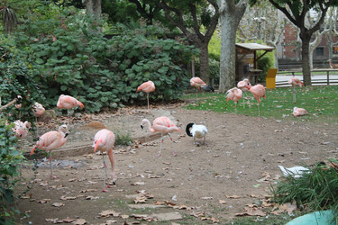 Similar image 21658738