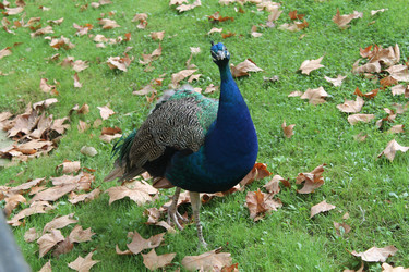 Similar image 21659152