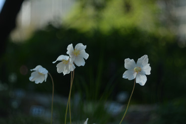 Similar image 21652183