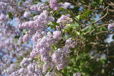 Similar image 21649481