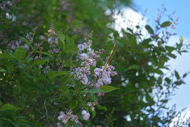 Similar image 21649482