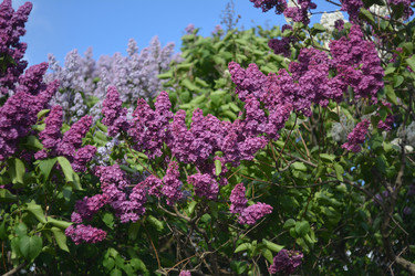 Similar image 21649484