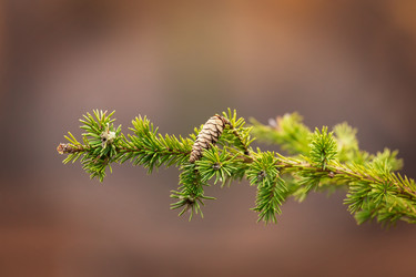 Similar image 21650186