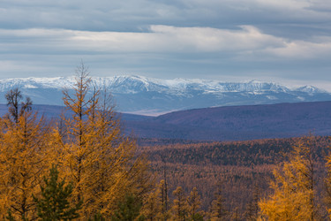 Similar image 21650189