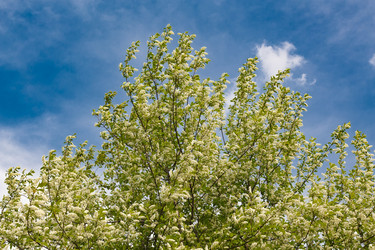 Similar image 21650194