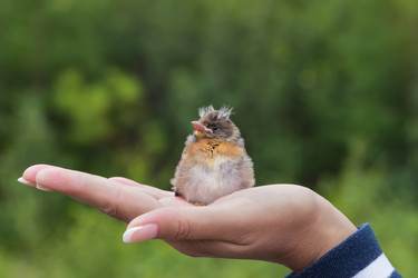 Similar image 21650195