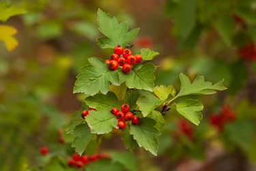 Similar image 21650196