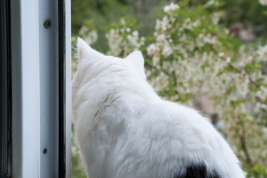 Similar image 21650266