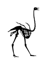 Similar image 21652184