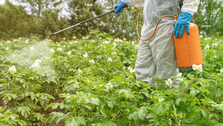 Similar image 21653835