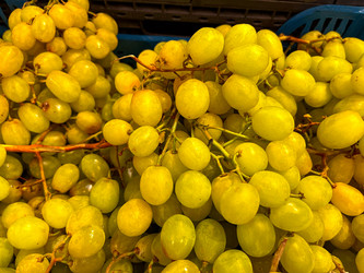 Similar image 21653838