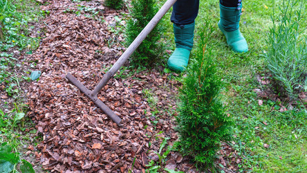 Similar image 21653846