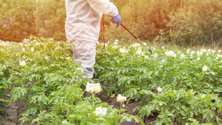 Similar image 21653850