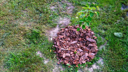 Similar image 21653854