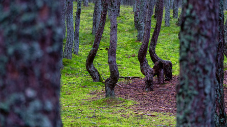 Similar image 21653857