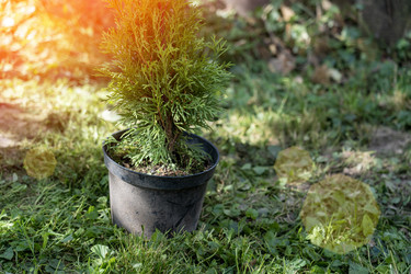 Similar image 21653865