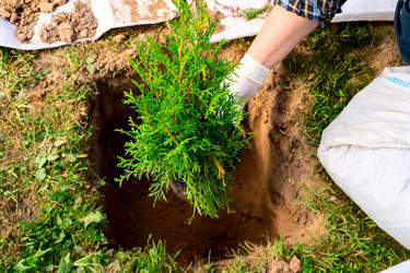 Similar image 21653867