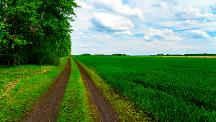 Similar image 21653876