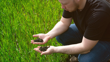 Similar image 21653882