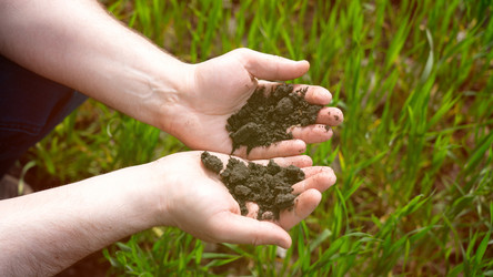 Similar image 21653883