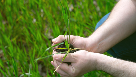 Similar image 21653886