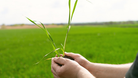 Similar image 21653888