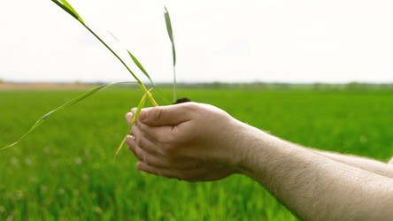 Similar image 21653892