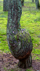 Similar image 21653896