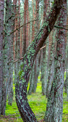 Similar image 21653898