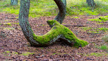 Similar image 21653902