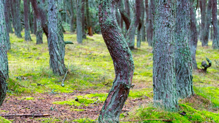 Similar image 21653903