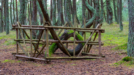 Similar image 21653904