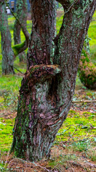 Similar image 21653905