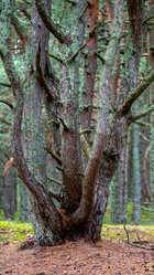 Similar image 21653906