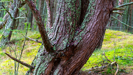 Similar image 21653907