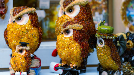 Similar image 21652842