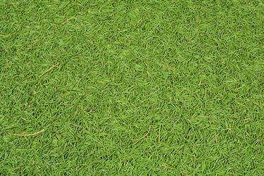 Similar image 21653581