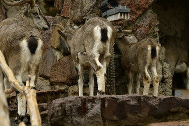 Similar image 21651682