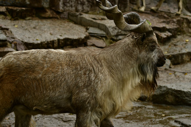 Similar image 21651684